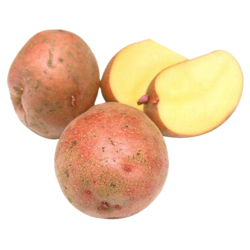 云南红皮土豆5斤装 农家自种红皮黄肉马铃薯