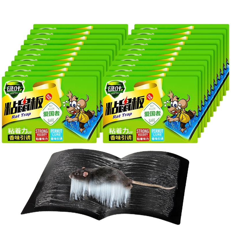 绿叶(Green Leaf)爱国者粘鼠板胶粘驱鼠器20片装 GL02115