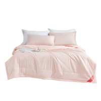 红豆家纺抗菌大豆被空调被夏季薄款夏凉被双人学生宿舍可水洗机洗