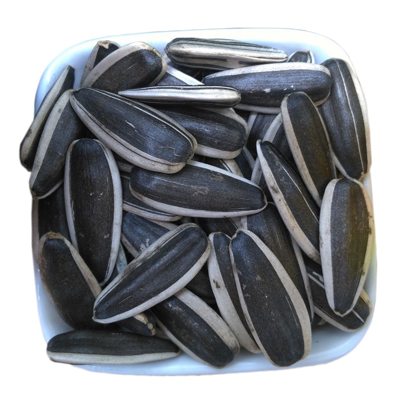 生瓜子 散装 五原县葵花籽新货批 [中颗粒生瓜子]5斤散装