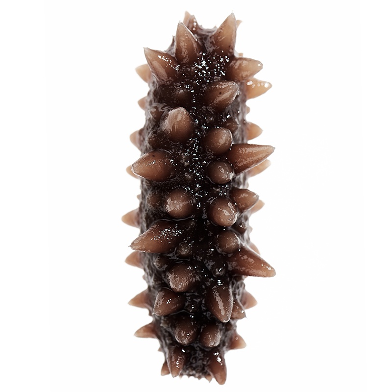 海洋岛大连海参辽参即食海参礼盒冷冻400g辽刺参6-8年参