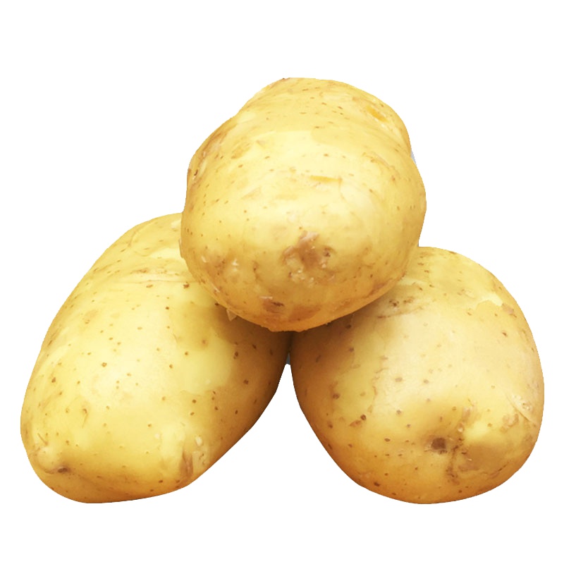 [中华特色]静宁馆 红六福 新鲜土豆洋芋马铃薯 甘肃农家蔬菜 粉糯沙土豆10斤箱装 西北