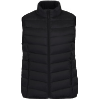 波司登2021春季款羽绒马甲女纯色鸭绒渐变立领直筒外穿B10131008