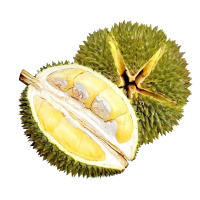 泰国干尧榴莲5-6斤装(1-2个) 新鲜水果