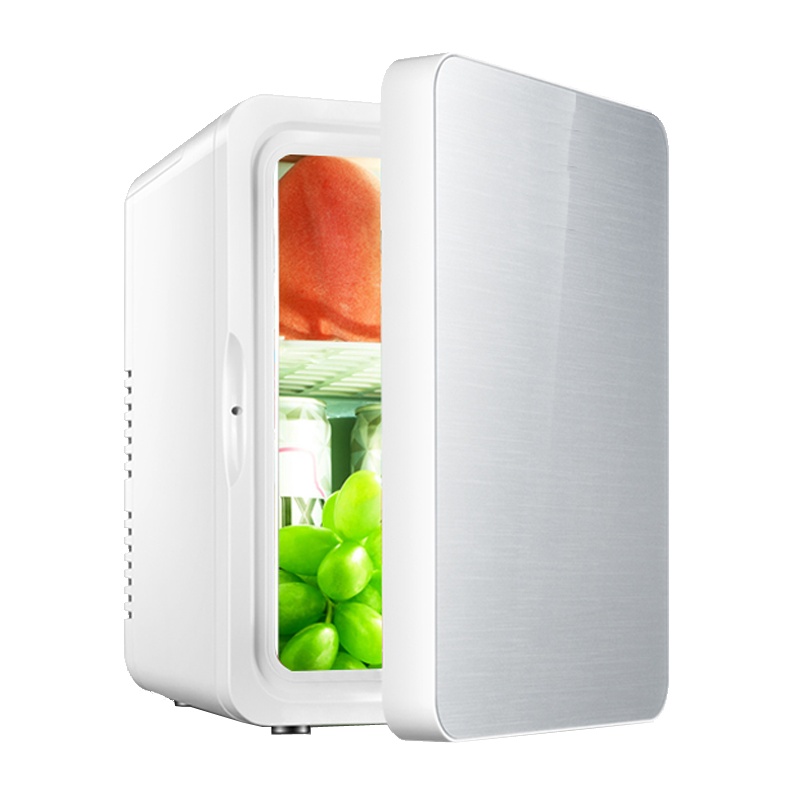 先科(SAST)8L电子冰箱车载冰箱 迷你小冰箱 礼品冰箱 化妆品母乳牛奶冷藏 半导体制冷 家车俩用 银色玻璃门