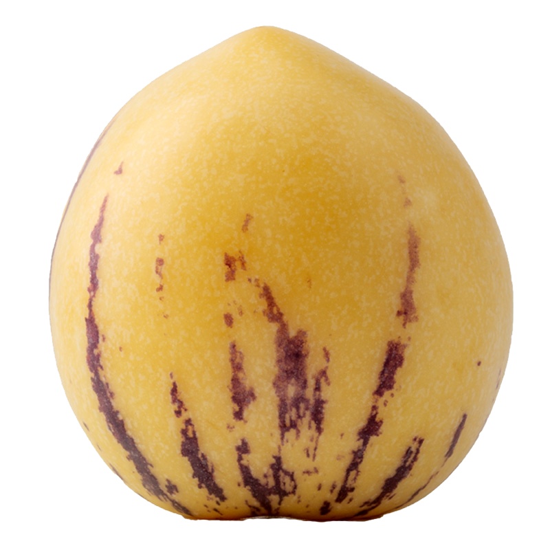 云南石林树上熟人参果 中果1斤约7个 大果1斤约5个 低脂健康 富含氨基酸 应季水果 新鲜水果