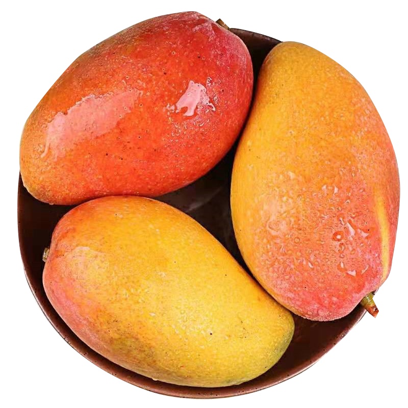 大唐果园贵妃芒果 1500g