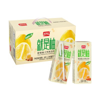 盼盼 就是柚风味饮料250ml*24盒 水饮饮料