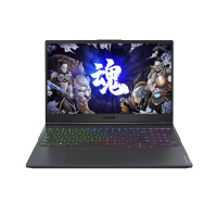 联想(Lenovo) 拯救者Y9000K 15.6寸笔记本电脑(i7-10875H 16G 1T RTX2060)