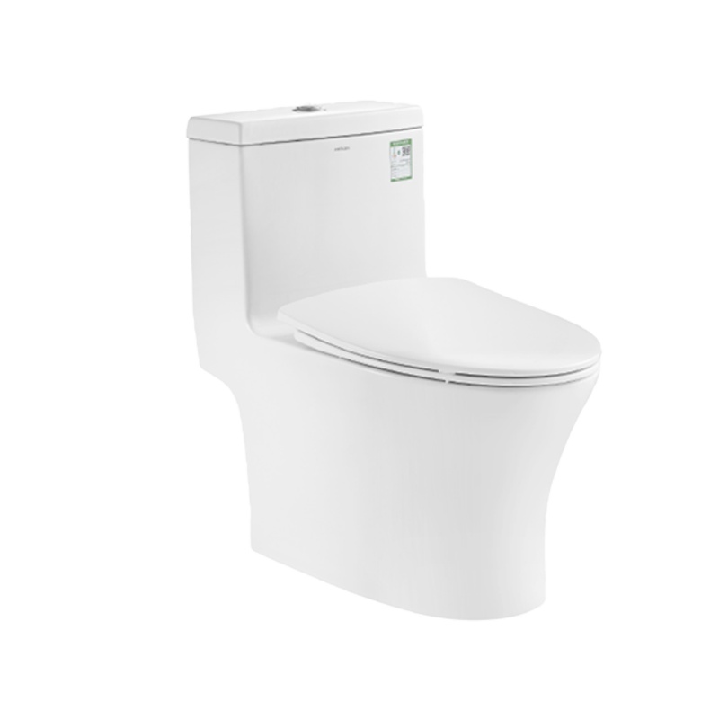 法恩莎卫浴家用马桶PP缓降盖板节水喷射虹吸式坐便器 FB16178 305MM