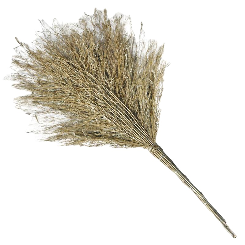 兰诗,竹扫把,竹枝连体,DM-213,3.5斤,5个装