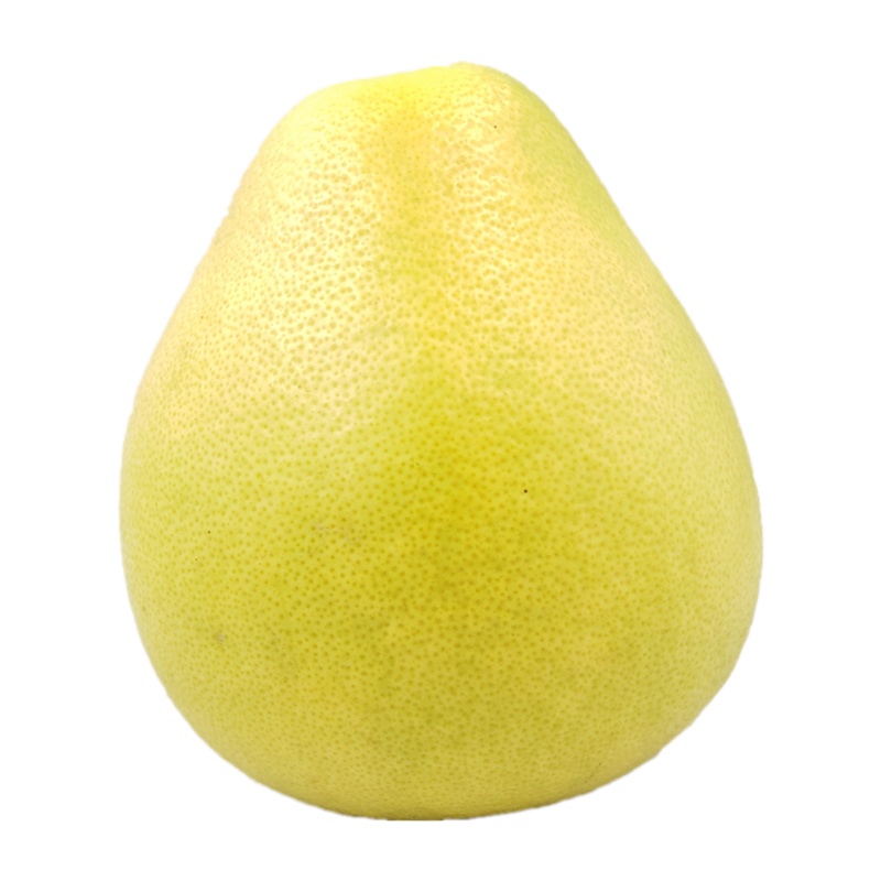 脆甜爆汁 新品井冈蜜柚非一般的甜蜜 4个装 买就送开神器 清热去火 家庭分享 亲友送礼 办公室零食 孕妇水果 宝宝水果