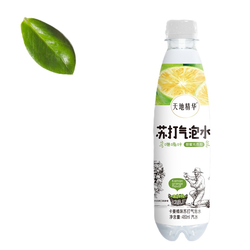 天地精华 元气小宝无糖气泡苏打水480ml*15瓶苏打饮料 元气水 卡曼橘味 整箱装