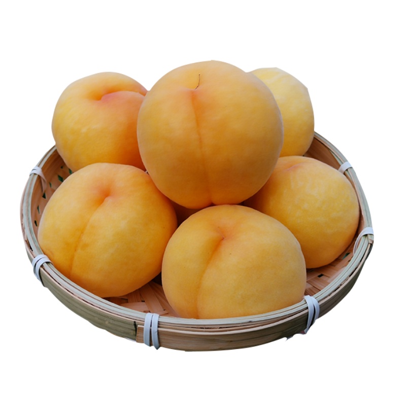 [西沛生鲜]山东新鲜黄桃 蜜桃 净重3斤 黄桃桃子新鲜水果毛桃黄金蜜桃时令血桃当季整箱黄肉脆桃