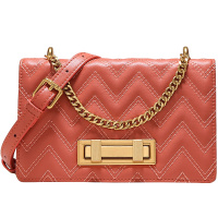 2019秋季新款洋气个性链条包女ins法国小众高级感包包单肩斜挎包