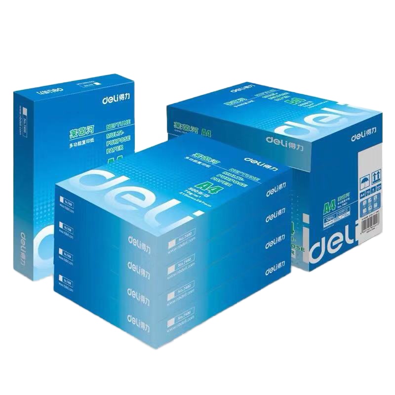 Zs-得力7401莱茵河复印纸70g 500张/ 包 5包/箱 整箱装