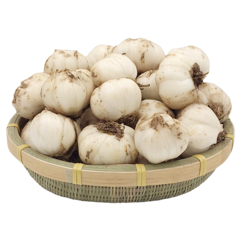 新鲜百合 生鲜蔬菜甜百合 3头 500g