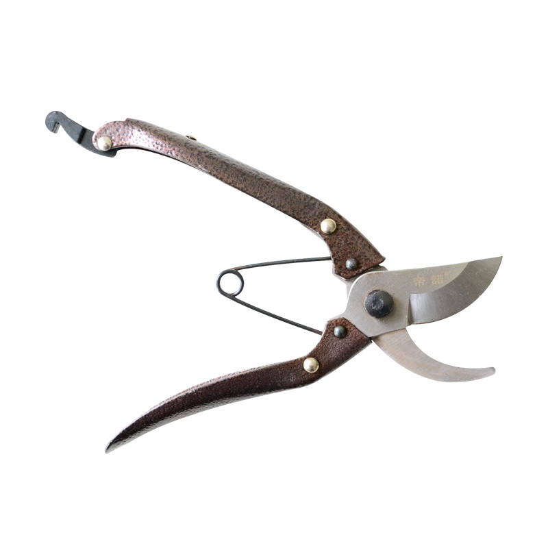 津沽园艺 园艺用品 园艺刀剪 黑棕色柄中等环枝剪 多功能剪刀 采果修枝剪种植 不锈钢材质