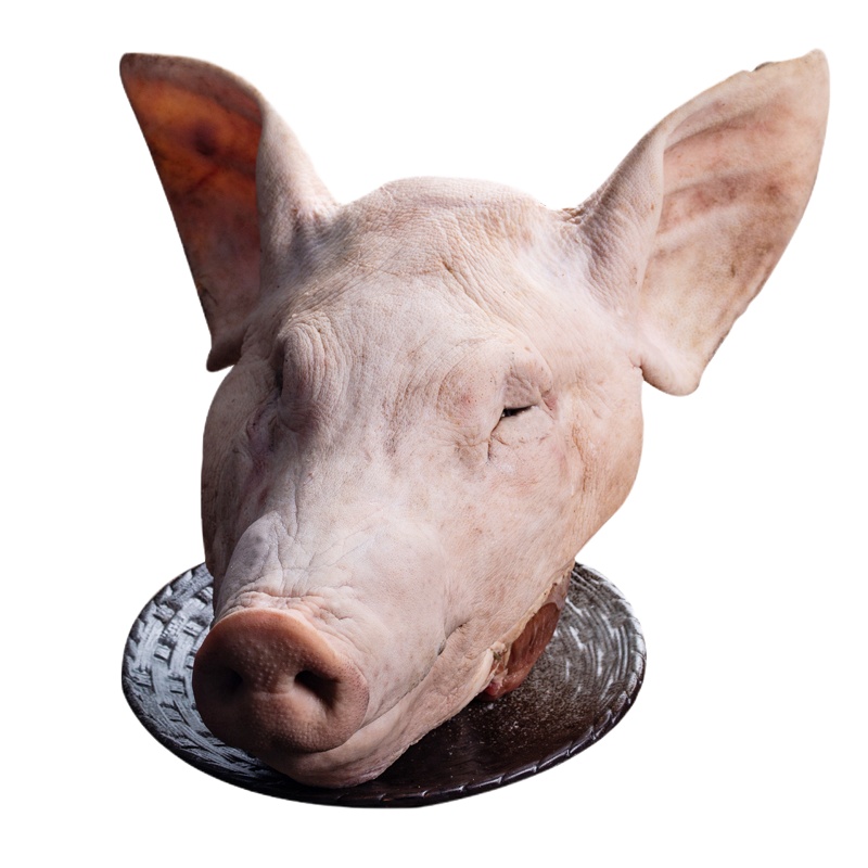 [猪头肉 顺丰速运]野蛮香猪肉黑猪生猪头肉 猪嘴猪头肉带骨 新鲜猪头肉整个猪头散养新鲜现杀年货带耳无舌10斤左右