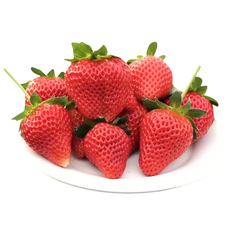 ［果园现摘现发］露天种植新鲜奶油草莓 新鲜冬草莓 新鲜水果 净重2.8斤中果 单果15g－20g