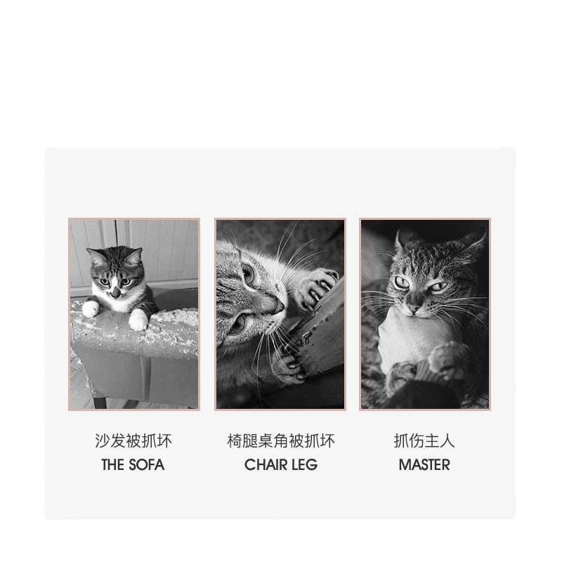 猫抓板磨爪器耐磨立式大号瓦楞纸特大猫窝猫抓板一体玩具猫咪用品 正方型一个(送猫薄荷)