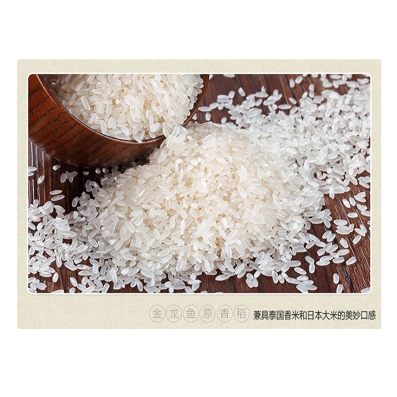 金龙鱼原香稻东北大米 5kg