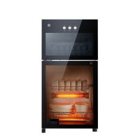 容声立式消毒柜108-RQ109家用80L大容量4-6人双门二星级高温厨房餐具不锈钢消毒碗筷柜