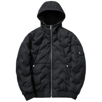 千纸鹤羽绒服男2019冬季新款时尚休闲连帽保暖工装外套男装60173