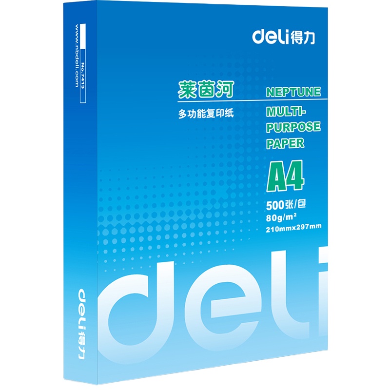 得力(deli) 7419 复印纸莱茵河80克 A4打印纸复印纸 5包/箱