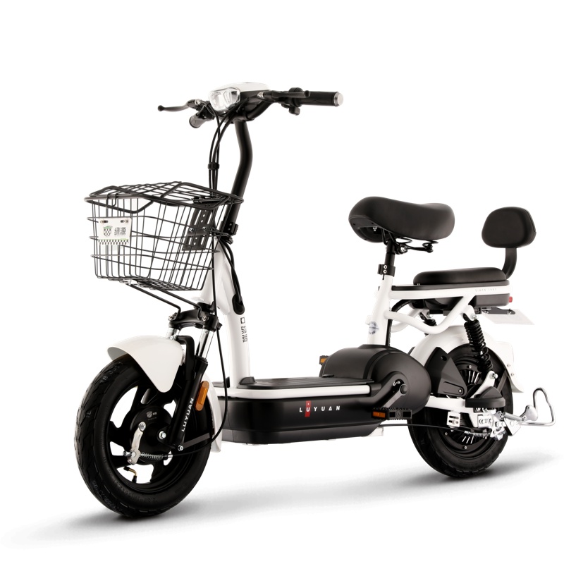 绿源新国标电动自行车女士48V锂电池电瓶车FBE成人踏板代步电动车 雪山白