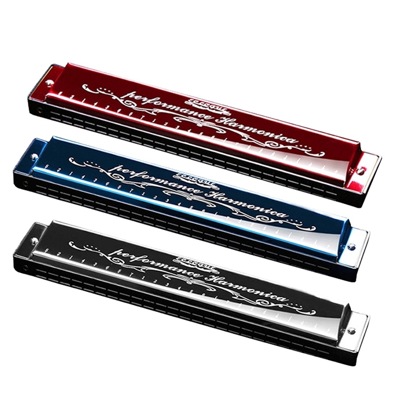 天鹅(Tian E)口琴儿童初学者成人高级演奏24孔复音c调学生自学入门男女通吹奏乐器其他1