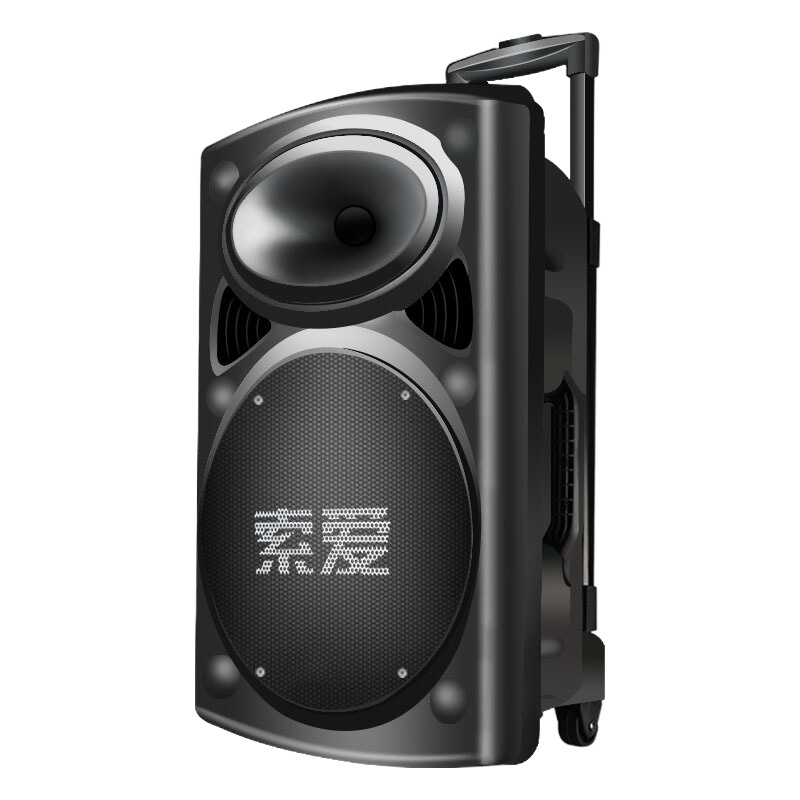 SA-T19户外音响12寸大功率广场舞音响移动便携式蓝牙充电拉杆音箱 12寸重低音+2支无线话筒黑色