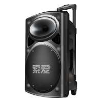 SA-T19户外音响12寸大功率广场舞音响移动便携式蓝牙充电拉杆音箱 12寸重低音+2支无线话筒黑色