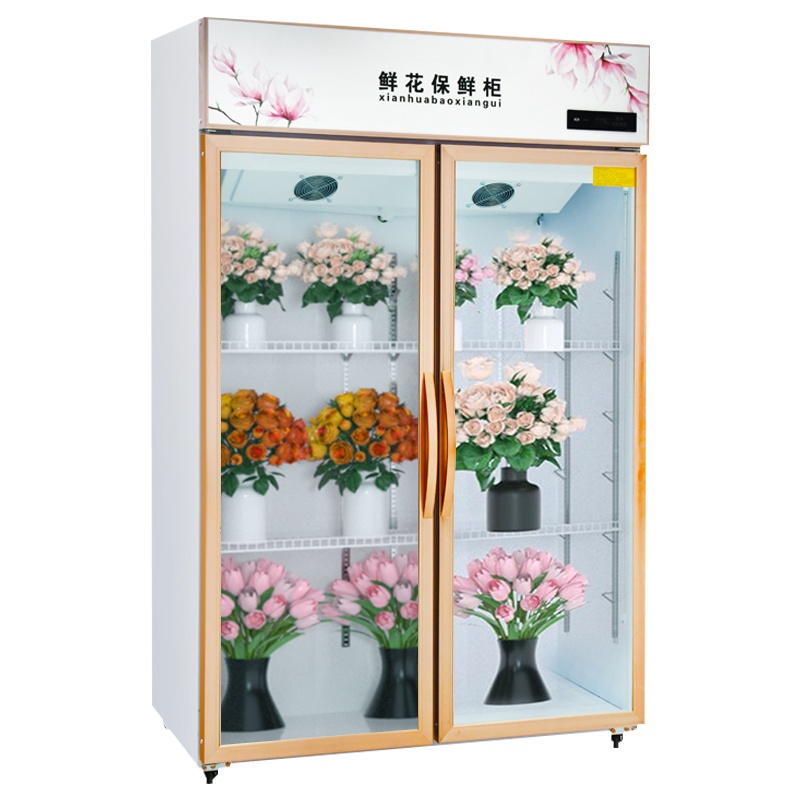 埃利斯(AILISI)800L二门鲜花柜保鲜柜展示柜 冷藏柜商用冷柜鲜花植物柜陈列立式展示柜鲜花保鲜柜风冷
