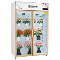 埃利斯(AILISI)800L二门鲜花柜保鲜柜展示柜 冷藏柜商用冷柜鲜花植物柜陈列立式展示柜鲜花保鲜柜风冷