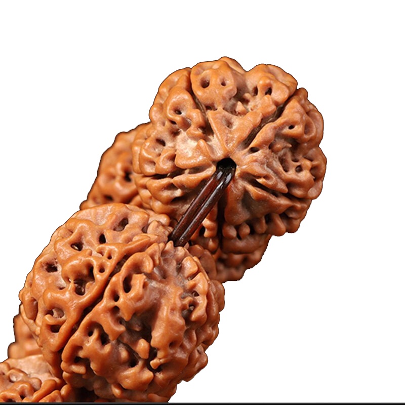 梵心阁(fanxinge)尼泊尔大金刚菩提手串 精挑五六瓣2.2爆肉纹原籽男士文玩佛珠手链