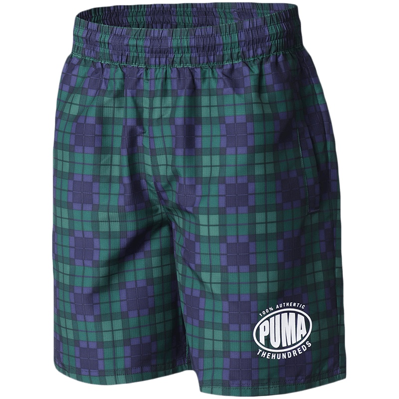 PUMA彪马男裤运动服休闲短裤跑步健身裤844240