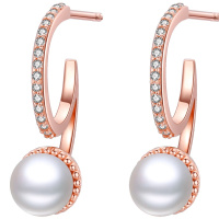 佰色传情纯银高级感耳环女气质网红淡水珍珠耳坠新款潮耳钉