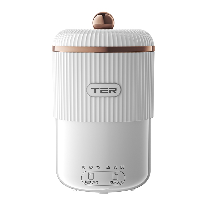 泰瑞达(TER)电炖杯养生杯小型便携烧水杯办公室神器煮粥热牛奶加热杯迷你