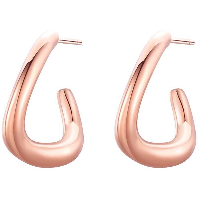 佰色传情BRIR纯银耳环2020年新款潮耳钉耳饰复古港风耳圈