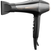 飞科电吹风FH6101