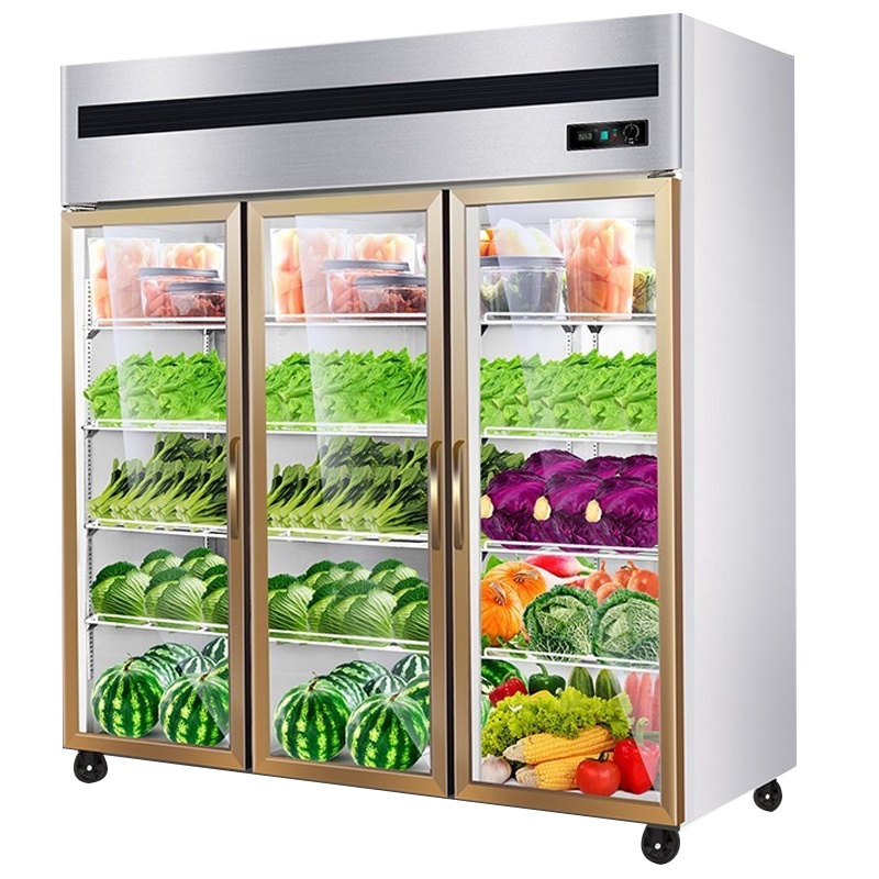 德玛仕立式冷冻保鲜柜 厨房冰箱电冰柜大容量高身雪柜 三门全玻璃玻璃展示柜(全冷藏) 双温冰柜