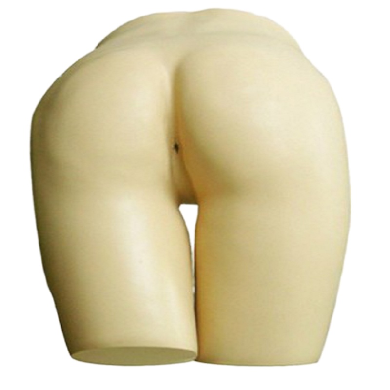 戎兴 教学模具 RX003 52*35*34cm 5kg