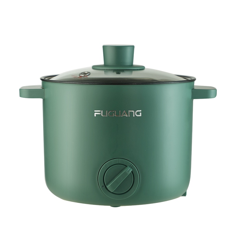富光FUGUANG电煮锅宿舍学生煮面锅蒸炒家用多功能小型寝室网红迷你电火锅WFD3010-1500