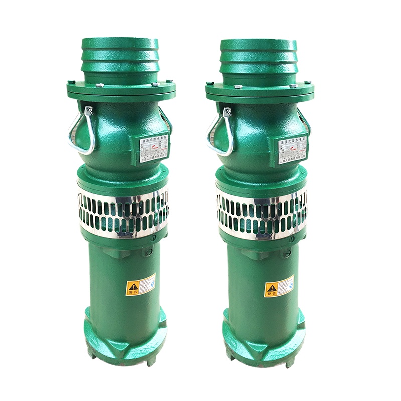 3000瓦6寸口清水水泵