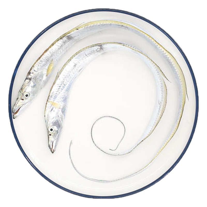 [四海生鲜]东山岛黑目带鱼(1-2条)/盒 本港牙带鱼刀鱼 新鲜海鲜水产 500g 海鲜火锅食材