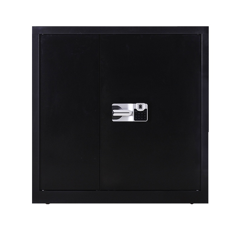振奥 钢制电子保密柜密码档案柜资料办公柜保密文件铁皮柜 单节酷黑色国保指纹密码锁内二抽