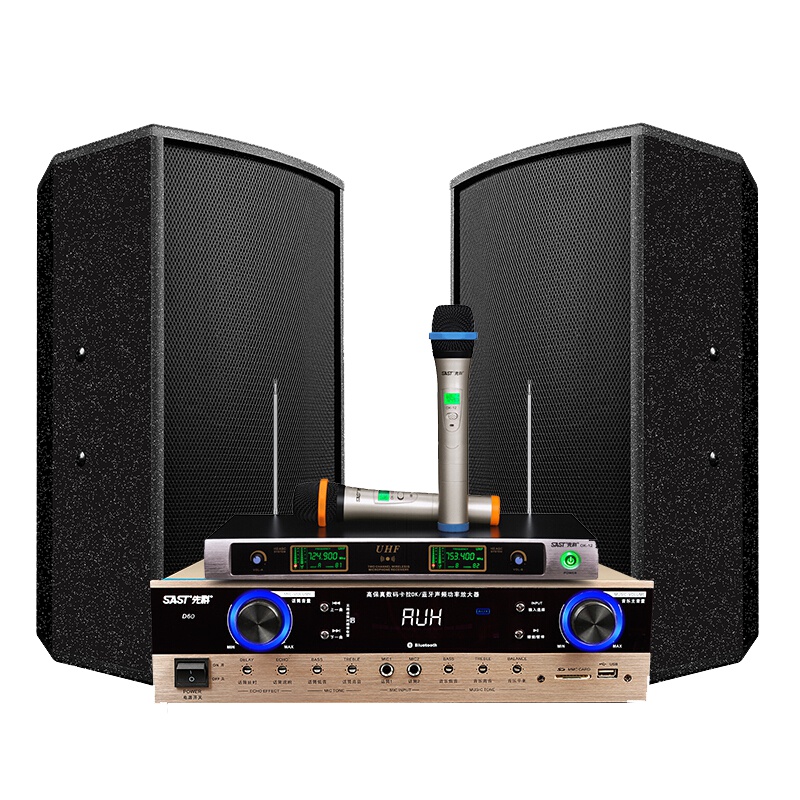 先科(SAST) 家庭影院ktv音响套装 专业会议音响全套 卡拉OK功放组合 多功能厅音箱套装
