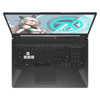 [精选]华硕(ASUS) 天选PLUS 17.3英寸游戏笔记本电脑 新锐龙版