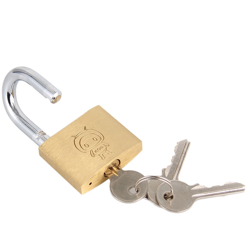 递乐(DiLe)地球牌 铜挂锁 短梁 通开 30MM (需通开请联系客服)